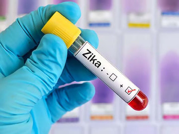 Вирус Зика: признаки, диагностика и лечение