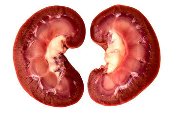 JAGS: статины не ухудшают работу почек у пожилых