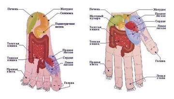 Борьба с гриппом: секреты восточной медицины