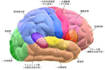Коновалов: задержка дыхания на несколько секунд снижает стресс