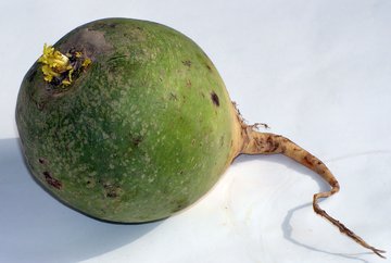 Реабилитолог Агапкин назвал снижающий давление неожиданный продукт