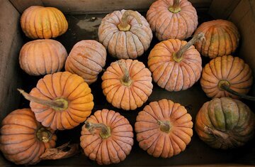 Гастроэнтеролог Кашух: после праздников нужна клетчатка