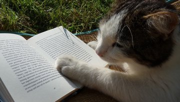 Психолог Игонина: чтение книг снижает стресс и продлевает жизнь