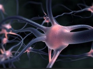 Редких заболеваний становится все больше: сегодня Всемирный день борьбы с БАС