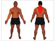 Расправляем плечи: показательная операция от хирурга из Германии прошла в Новосибирске