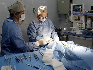 В Японии налаживают производство искусственной крови