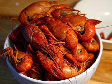 Врач Малышева: мясо рака защищает от онкологии