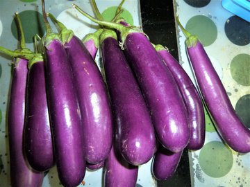 Врачи составили ТОП-12 полезных фиолетовых продуктов