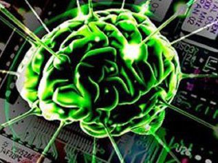 Физические упражнения способны усиливать когнитивные функции человека