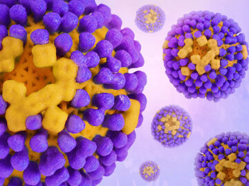 Терапевт Артамонов: гонконгский грипп может вызвать рвоту