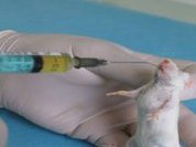 Онкологи озабочены вопросами спецпитания