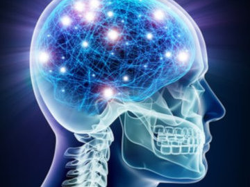 Врач разрушил миф о том, что нервные клетки не восстанавливаются