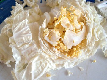 Диетолог Соломатина призвала отказаться от квашеной капусты при гастрите