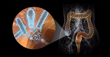 Восстановление микрофлоры кишечника народными средствами
