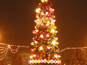 Зажглась новогодняя елка в НИИ ДОГ на Каширке