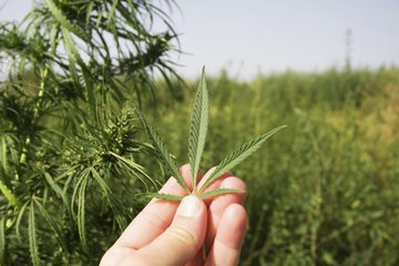 Массовые отравления неизвестным наркотиком зафиксированы в Кировской области