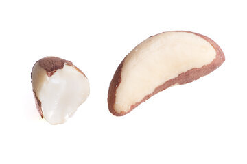 Врач Малышева: бразильский орех омолаживает