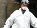 В Японии обнаружен опасный вирус птичьего гриппа