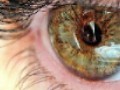 Генная терапия может вернуть зрение