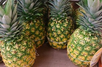 Диетолог Белоусова: ананасы избавят от отеков