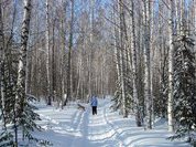 Москвичей приглашают на пешие прогулки для поддержания здоровья