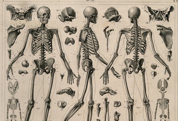 Ортопед Глумаков рассказал о причинах дисплазии