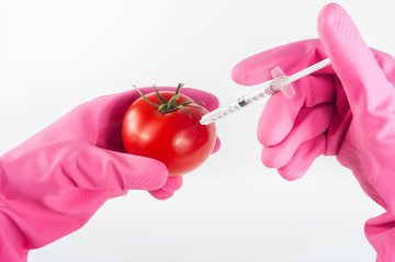 Эксперт Баласанян опровергла миф о том, что ГМО вызывают рак и аллергии