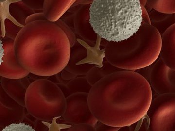 Что такое нейтропения?