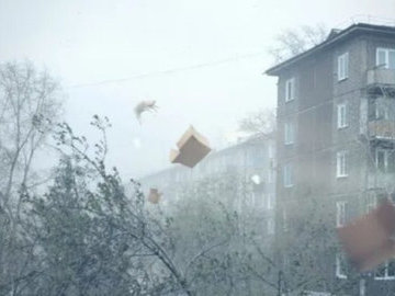 В Кузбассе из-за сильного ветра пострадала 13-летняя девочка