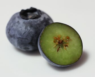 Врач Харрис-Пинкус: черника снизит сахар