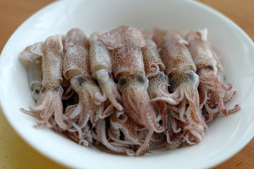 Врач Малышева: кальмар укрепляет кости