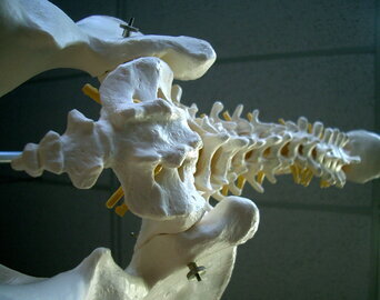 Малышева: травма копчика лечится постельным режимом