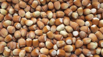 Малышева: масло фундука улучшает зрение