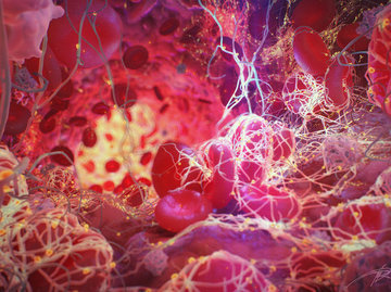 WEHI: Лекарства от рака крови могут открыть путь к лечению ВИЧ