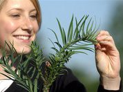 Придуман тест, определяющий продолжительности жизни