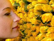 "ОнкоДозор" получил "Призвание"