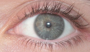 Врач Риццо: уколы «Оземпика» приводят к неизлечимой слепоте