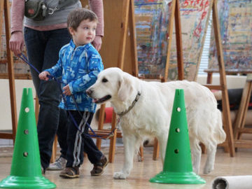 В России предложили привлекать собак к реабилитации пациентов