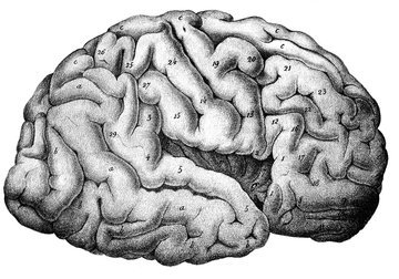 Nature: лечение гипертонии защищает от слабоумия