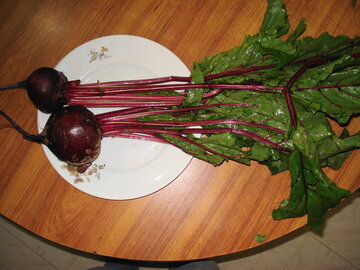 Врач Баранова: свекла и клюква улучшат работу печени