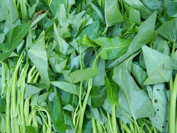 Биолог Лялина: снизить риск развития онкологического заболевания поможет шпинат