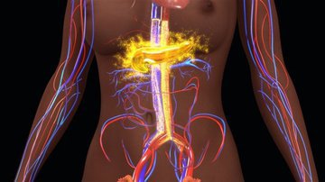 Нарушение обмена веществ: что делать