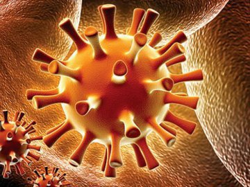 Как избежать инфицирования вирусом герпеса