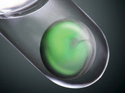 Японцы вырастили глаз