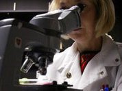 Международная группа ученых создаст молекулярную модель человеческого мозга