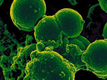 BBC: Школьниц из Кении настигло неизвестное заболевание