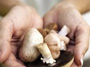 Грибы помогают справиться с раком