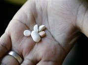 Ученые вновь доказали необходимость витамина D для организма