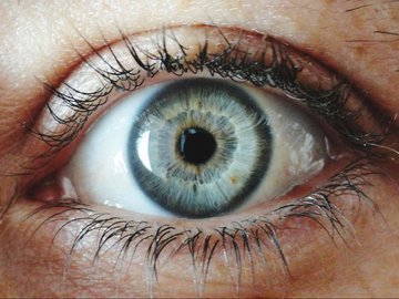 Офтальмологи перечислили продукты, которые спасут ваши глаза от болезней