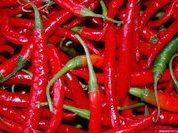 Карри и чили спасут от рака и болезней сердца